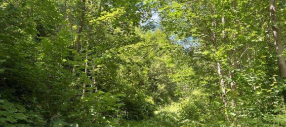 Grundstück in Neuberg an der Mürz, Austria 60309m², Nr. 113411 8