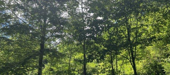 Grundstück in Neuberg an der Mürz, Austria 60309m², Nr. 113411 2