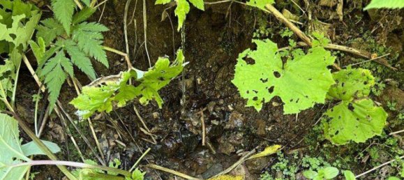 Grundstück in Neuberg an der Mürz, Austria 60309m², Nr. 113411 9