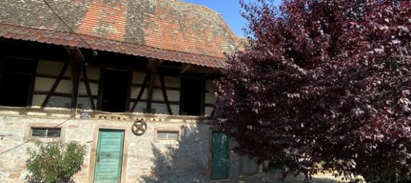 8 غرف نوم منزل في Saasenheim, France رقم 43743 5