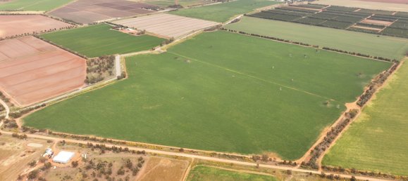 Casa em Myall Park, Australia N.º 1152 4