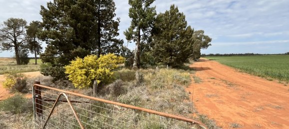 Casa em Myall Park, Australia N.º 1152 8