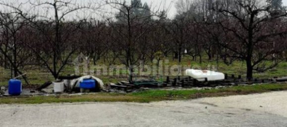 3 rooms Commercial property in San Benedetto Po, Italy No. 154041 7