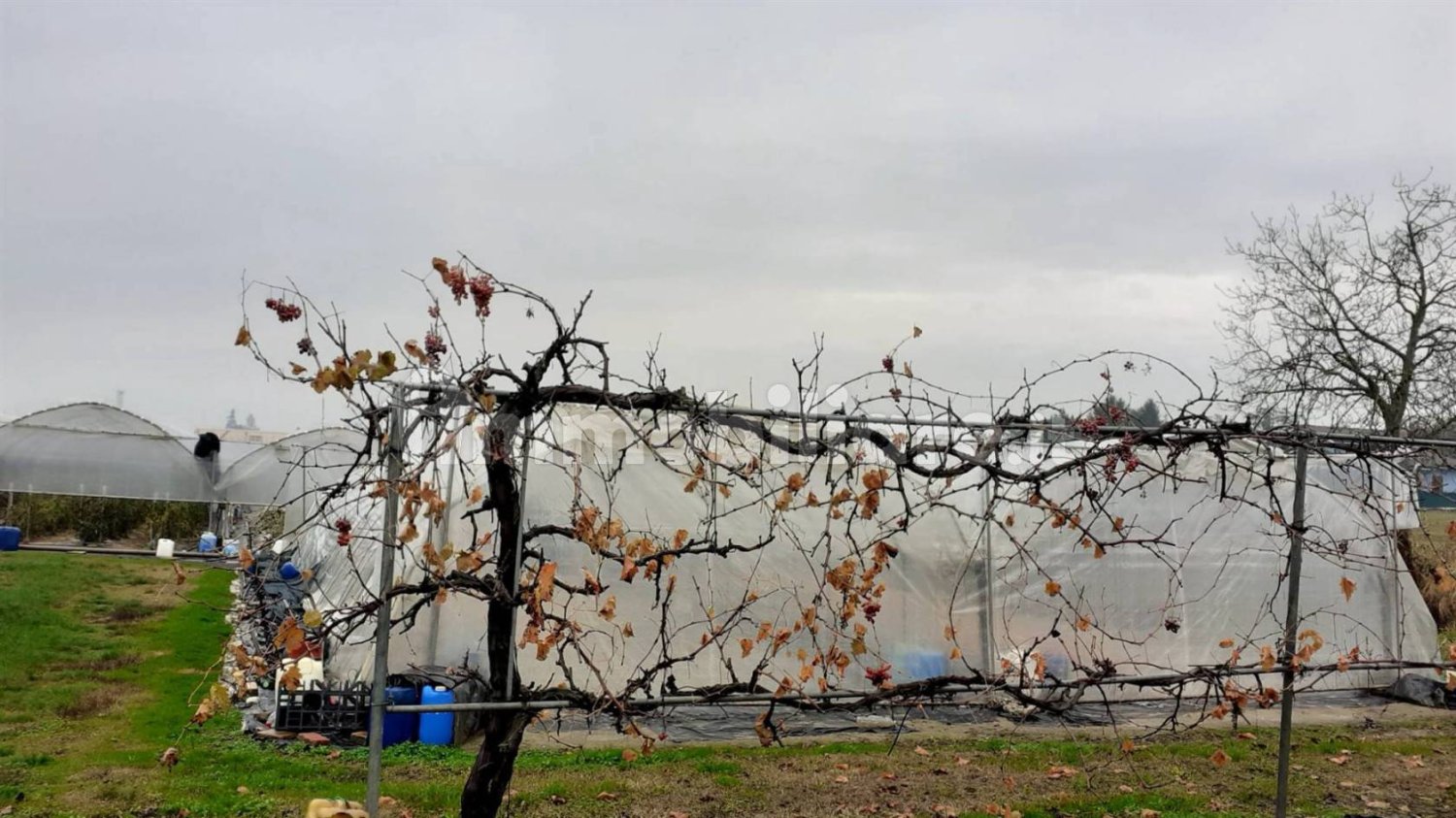 Коммерческая недвижимость с 3 комнатами в Сан Бенедетто По, Италия № 154041