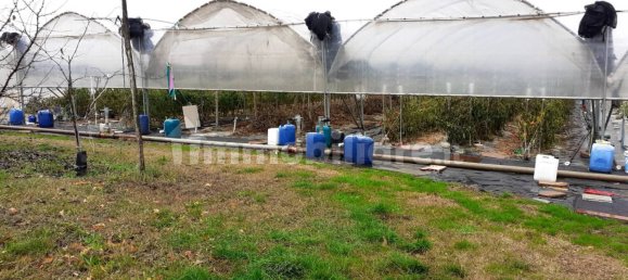 3 rooms Commercial property in San Benedetto Po, Italy No. 154041 4