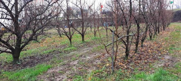 3 rooms Commercial property in San Benedetto Po, Italy No. 154041 2