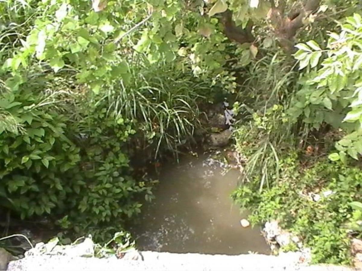 Земельный участок в Веракрус, Мексика № 205859