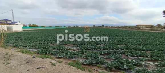 Terreno en Puerto Lumbreras, Spain No. 173617 10