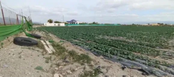 Terreno en Puerto Lumbreras, Spain No. 173617 16