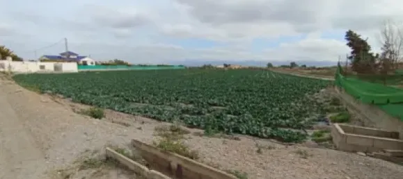 Terreno en Puerto Lumbreras, Spain No. 173617 21