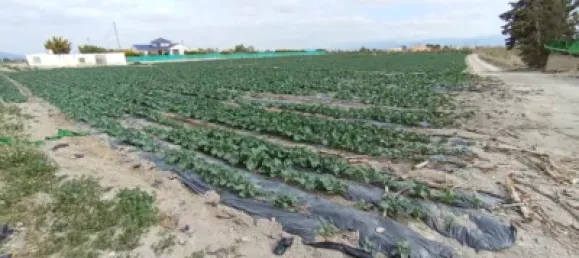 Terreno en Puerto Lumbreras, Spain No. 173617 13