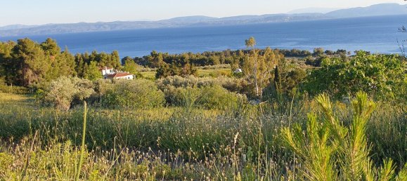 Отель, гостиница 29486м² в Эвбея, Греция № 3873 3