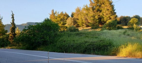 Отель, гостиница 29486м² в Эвбея, Греция № 3873 5