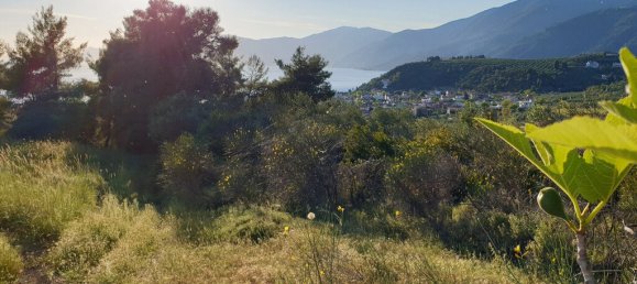 Отель, гостиница 29486м² в Эвбея, Греция № 3873 4