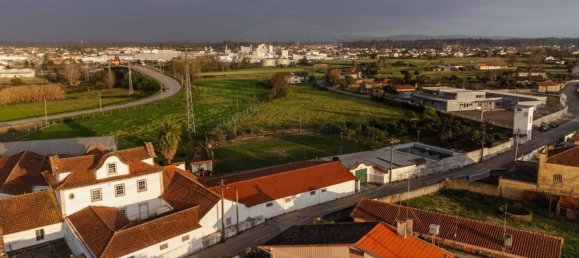 11 bedrooms House in Oliveira do Bairro, Portugal No. 187550 39