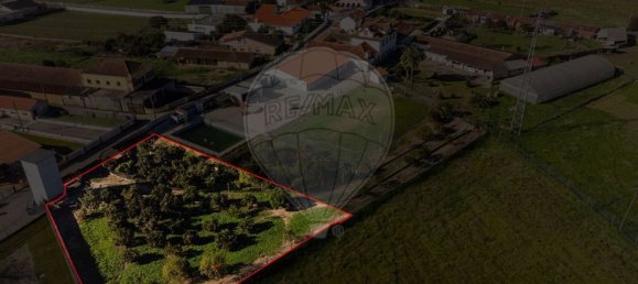 11 bedrooms House in Oliveira do Bairro, Portugal No. 187550 36