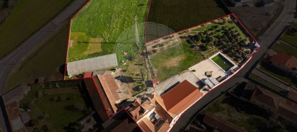 11 bedrooms House in Oliveira do Bairro, Portugal No. 187550 38