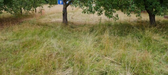 4 chambres Maison à Bad Kissingen, Germany No. 253549 25