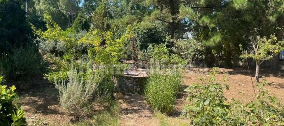 3 bedrooms Villa in Piana degli Albanesi, Italy No. 361040 16