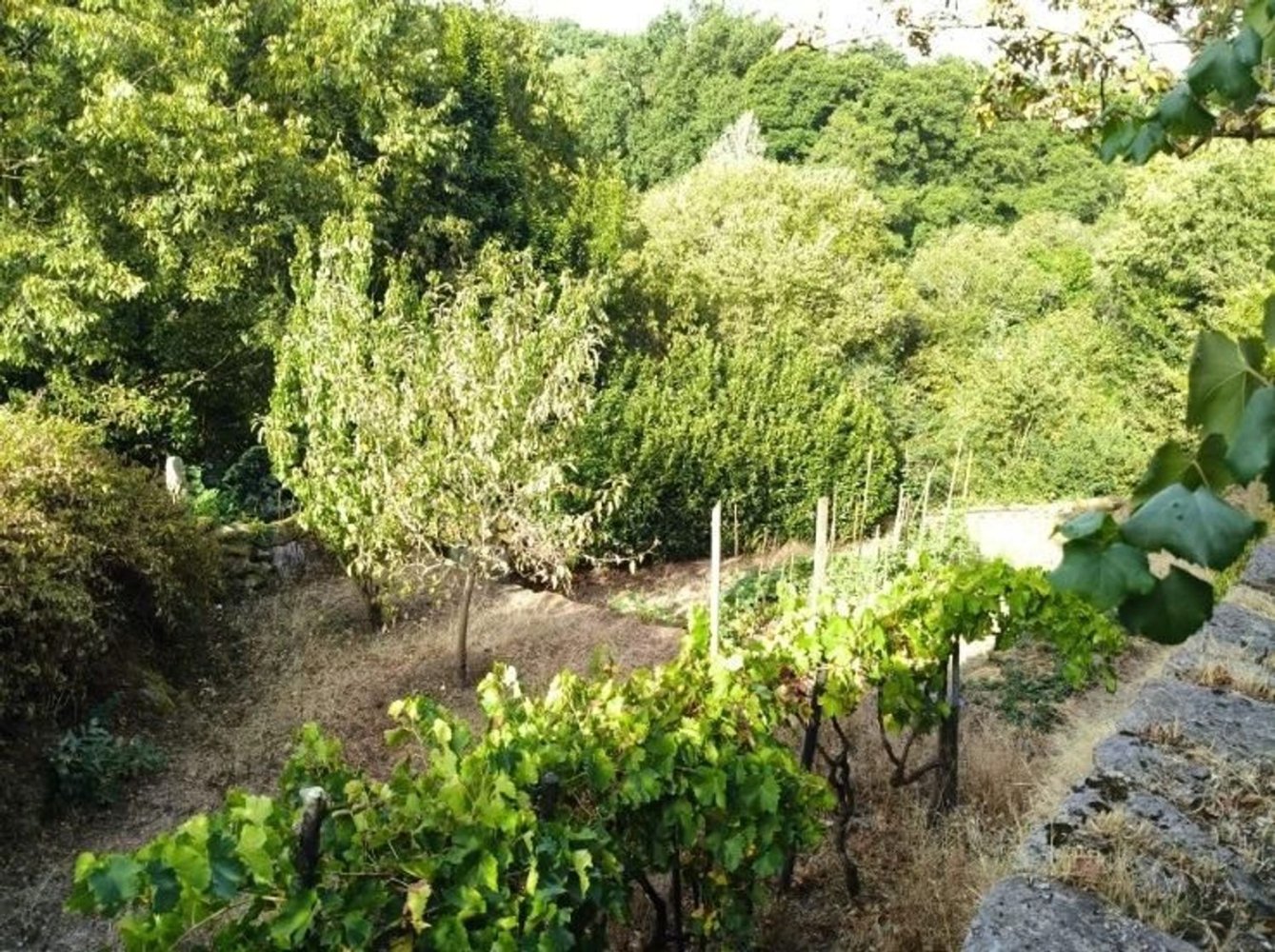 Дом с 3 спальнями в Оренсе, Испания № 205607