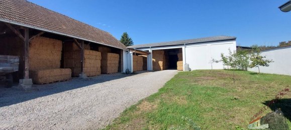 Casa de 6 habitaciónes en Ganserndorf, Austria No. 259061 13