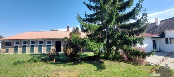 Casa de 6 habitaciónes en Ganserndorf, Austria No. 259061 20