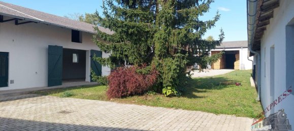 Casa de 6 habitaciónes en Ganserndorf, Austria No. 259061 2