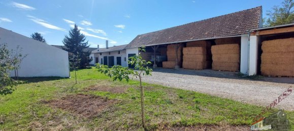 Casa de 6 habitaciónes en Ganserndorf, Austria No. 259061 12