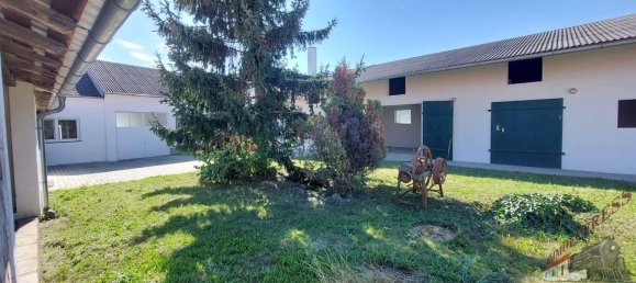 Casa de 6 habitaciónes en Ganserndorf, Austria No. 259061 15