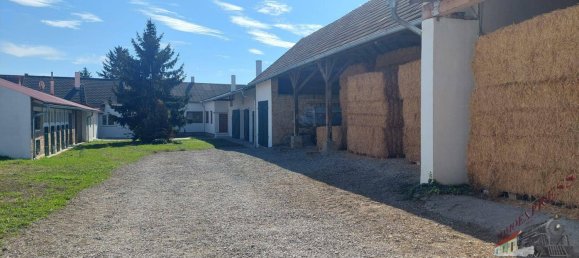 Casa de 6 habitaciónes en Ganserndorf, Austria No. 259061 11