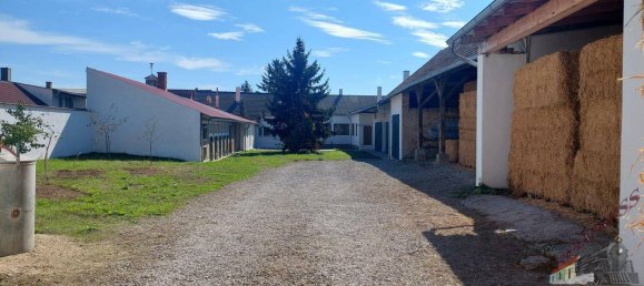 Casa de 6 habitaciónes en Ganserndorf, Austria No. 259061 10