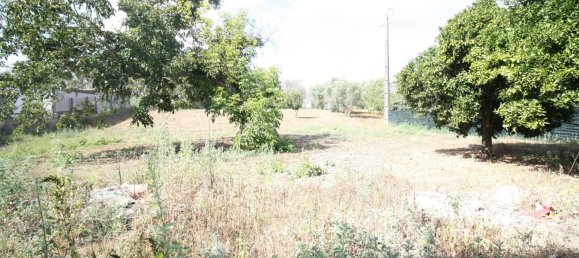 1 bedroom House in Leiria, Portugal No. 91972 17