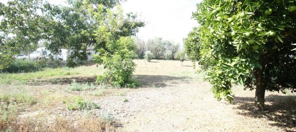 1 bedroom House in Leiria, Portugal No. 91972 18