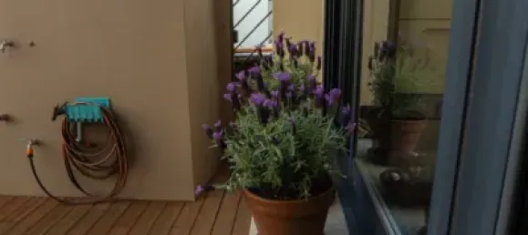 4 Schlafzimmer Haus in Figueres, Spain, Nr. 113570 8