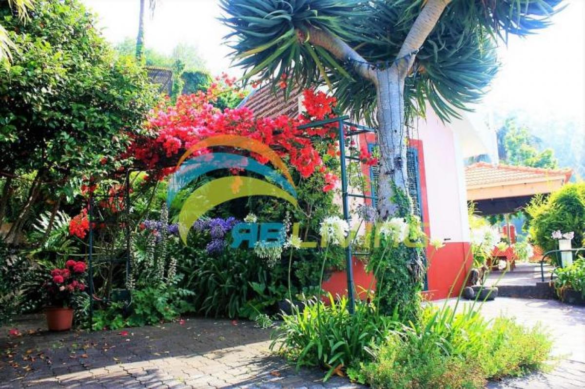 8 chambres Maison à Funchal, Portugal No. 126