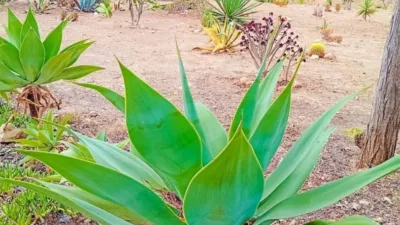 2 chambres Maison de ville à Alicante, Spain No. 213377