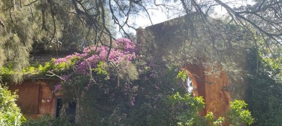 5 chambres Maison à Barbate, Spain No. 147196 7