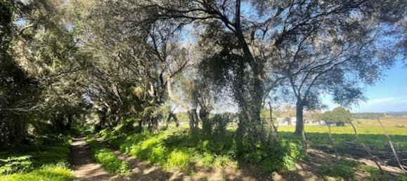 5 chambres Maison à Barbate, Spain No. 147196 4