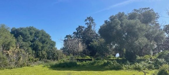 5 chambres Maison à Barbate, Spain No. 147196 6