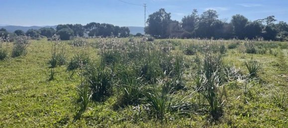 5 chambres Maison à Barbate, Spain No. 147196 5