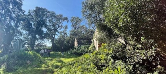 5 chambres Maison à Barbate, Spain No. 147196 3