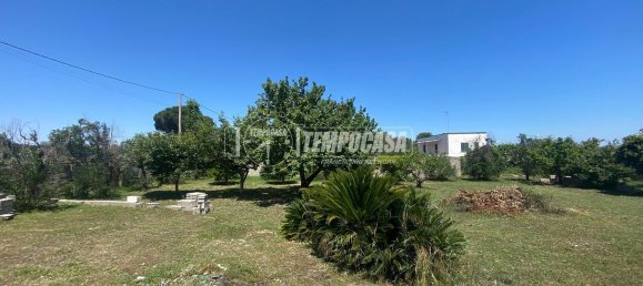 8 rooms Villa in Carpignano Salentino, Italy No. 306402 32