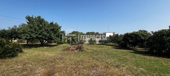 8 rooms Villa in Carpignano Salentino, Italy No. 306402 25