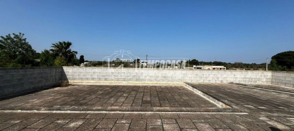 8 rooms Villa in Carpignano Salentino, Italy No. 306402 30