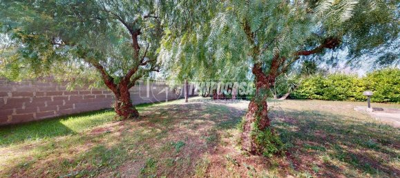 8 rooms Villa in Carpignano Salentino, Italy No. 306402 2