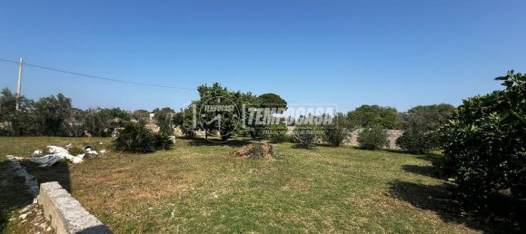 8 rooms Villa in Carpignano Salentino, Italy No. 306402 27