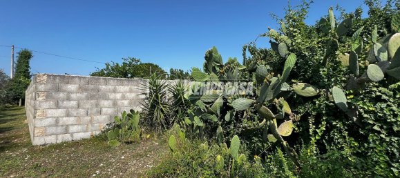 8 rooms Villa in Carpignano Salentino, Italy No. 306402 29