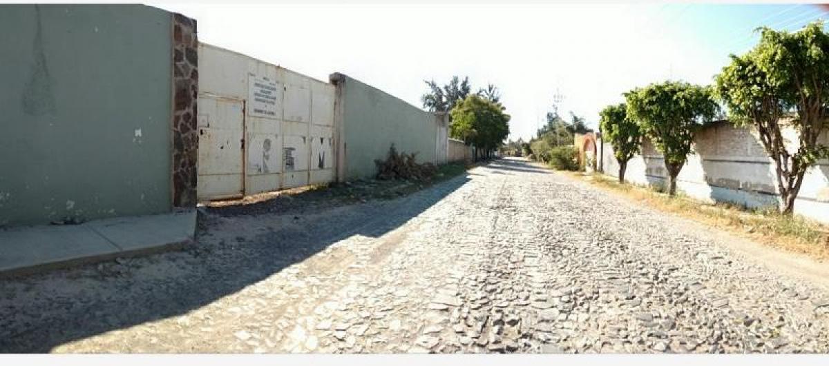  Land in Tlaquepaque, Mexico No. 203638