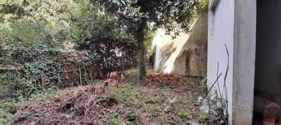 4-salle Appartement à Rosignano Marittimo, Italy No. 217363 12