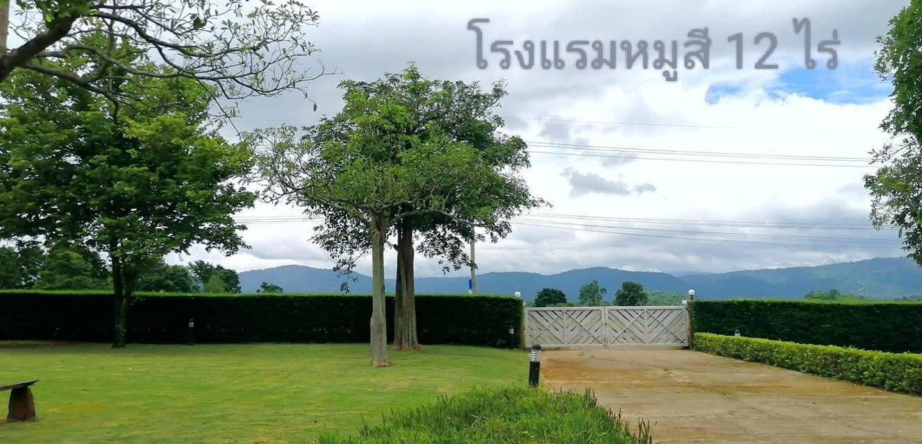  فندق في Pak Chong, Thailand رقم 78032